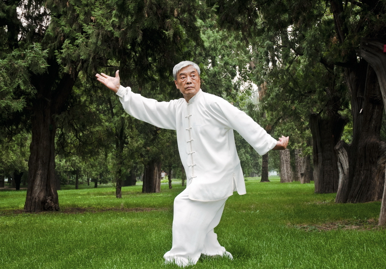 陈家沟太极拳